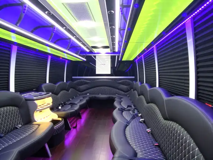 30 Passenger Party Bus Interior